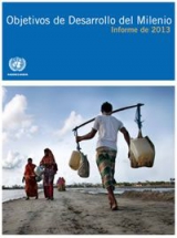 Objetivos de Desarrollo del Milenio - Informe 2013
